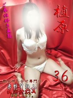 植原（36歳） 変態美熟女お貸しします。