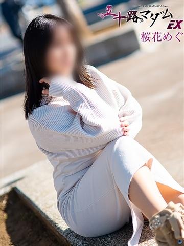 桜花めぐ（40歳） 五十路マダムエクスプレス船橋店(カサブランカグループ)