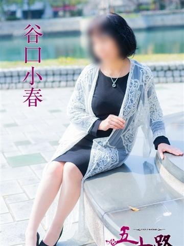 谷口小春（63歳）