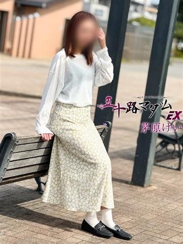 茅原けい（38歳） 五十路マダムエクスプレス船橋店(カサブランカグループ)