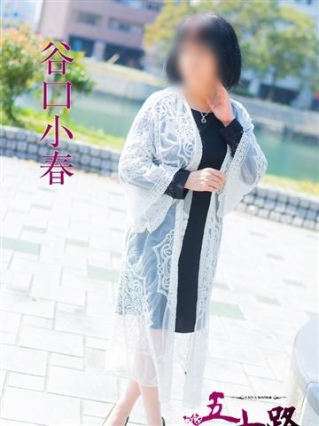 谷口小春（63歳） 五十路マダムエクスプレス船橋店(カサブランカグループ)