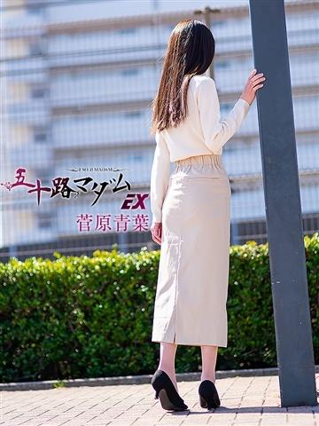 菅原青葉（38歳） 五十路マダムエクスプレス船橋店(カサブランカグループ)