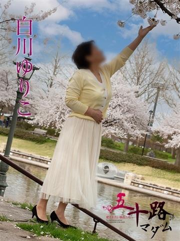 白川ゆりこ（51歳） 五十路マダム新潟店(カサブランカグループ)