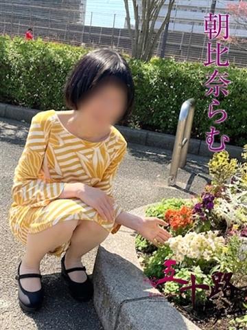 朝比奈らむ（49歳） 五十路マダムエクスプレス船橋店(カサブランカグループ)