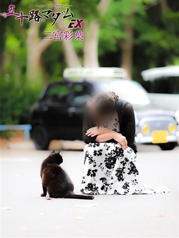 二宮彩葉（51歳） 五十路マダムエクスプレス船橋店(カサブランカグループ)